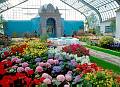 Rom�o Meloche