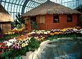 Rom�o Meloche