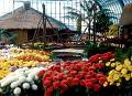 Rom�o Meloche