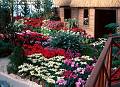 Rom�o Meloche