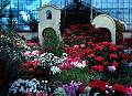 Rom�o Meloche