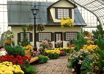 Exposition th�matique automnale: Montr�al, ville fleurie - 1980