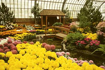 Exposition th�matique automnale: Montr�al, ville fleurie - 1980