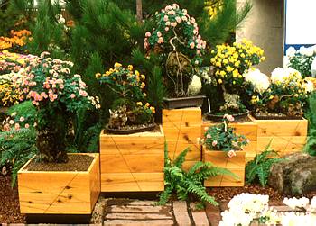 Exposition th�matique automnale: Montr�al, ville fleurie - 1980