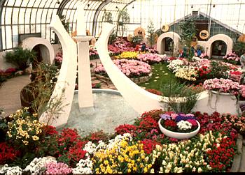 Exposition th�matique printani�re - Printemps 1981