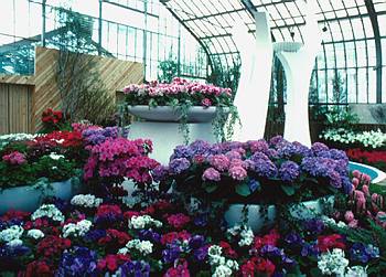 Exposition th�matique printani�re - Printemps 1981