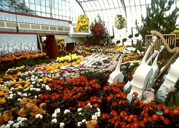 Exposition automnale: Chrysanth�mes -1983