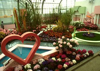 Exposition th�matique printani�re: L'Ann�e de la Jeunesse - 1985