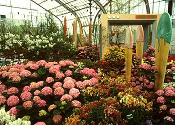 Exposition th�matique printani�re: L'Ann�e de la Jeunesse - 1985