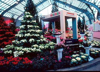 Exposition de No�l - 1985