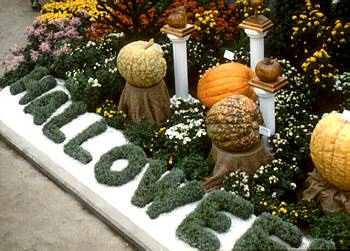 Exposition automnale: L'Halloween au Jardin botanique - 1986