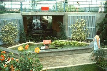 Exposition printanire et estivale: Le Jardin du petit Prince - 1987