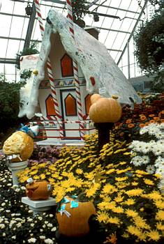 Exposition automnale: L'Halloween au Jardin botanique - 1987