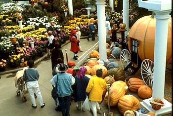 Exposition automnale: L'Halloween au Jardin botanique - 1988
