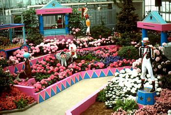 Exposition printani�re et estivale: Sous le grand chapiteau - 1989