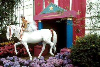 Exposition printani�re et estivale: Sous le grand chapiteau - 1989