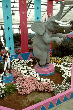 Exposition printani�re et estivale: Sous le grand chapiteau - 1989