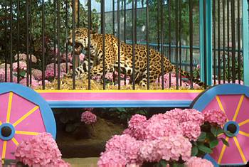 Exposition printani�re et estivale: Sous le grand chapiteau - 1989