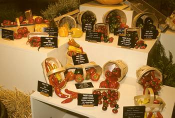 Exposition automnale: Les r�coltes - 1989