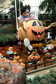 Exposition automnale: L'Halloween au Jardin botanique - 1989