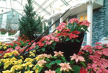 Exposition de No�l - 1989