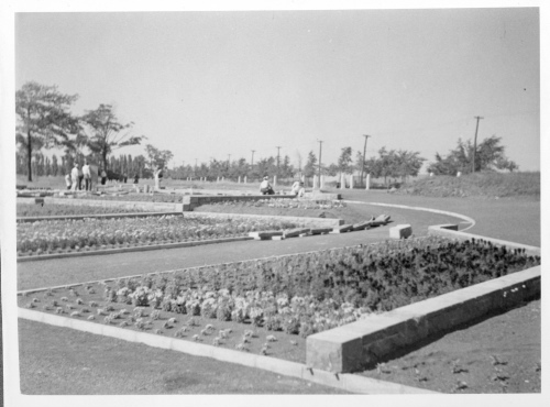 Jardin botanique de Montral (Archives) - H-1937-0024-a - Jardin botanique de Montréal - Jardin floral - Juillet 1937
