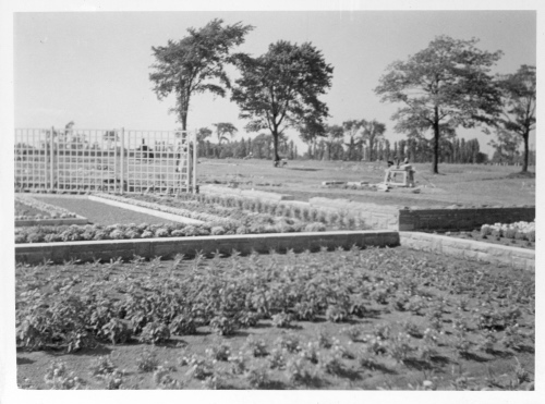 Archives du Jardin botanique de Montral - H-1937-0024-d - Jardin botanique de Montréal - Jardin floral - Juillet 1937