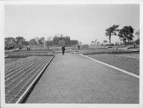 Archives du Jardin botanique de Montral - H-1937-0025-a - Jardin botanique de Montréal - Jardin floral - Juillet 1937