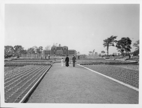 Jardin botanique de Montral (Archives) - H-1937-0025-b - Jardin botanique de Montréal - Jardin floral - Juillet 1937