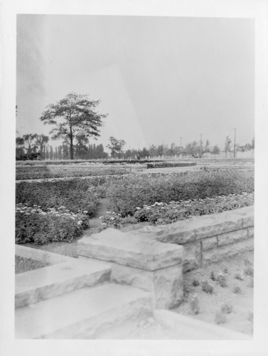 Archives du Jardin botanique de Montral - H-1937-0027-a - Jardin botanique de Montréal - Jardin floral - Juillet 1937