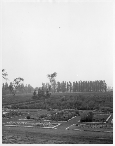 Jardin botanique de Montral (Archives) - H-1937-0039 - Jardin botanique de Montréal - P?pinière - 1937