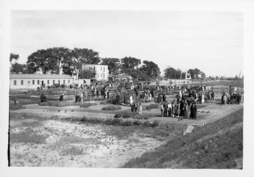 Jardin botanique de Montral (Archives) - H-1937-0043-a - Jardin botanique de Montréal - 1ière admission du public - Juillet 1937 - Jardin économique
