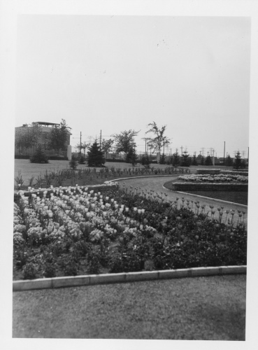 Jardin botanique de Montral (Archives) - H-1937-0046-b - Montréal, Jardin botanique - Construction - Jardin floral - 1937