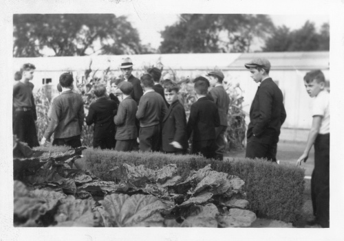 Archives du Jardin botanique de Montral - H-1937-0060-c - Jardin botanique de Montr?al ?1937- Jardin ?conomique ? ?coliers