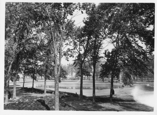Archives du Jardin botanique de Montral - H-1937-0079-b - Jardin botanique de Montréal - Parterre de fleurs annuelles - Construction - 1937