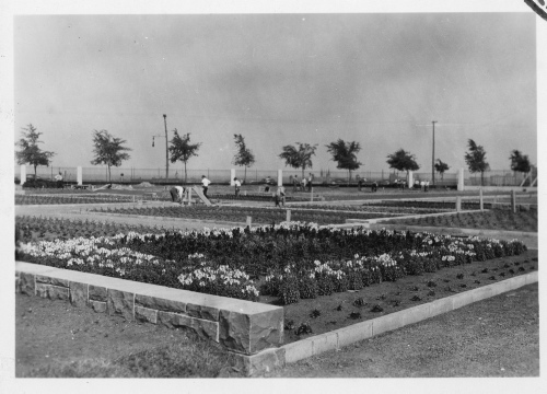 Archives du Jardin botanique de Montréal - H-1938-0005-c - Montréal, Jardin botanique - Jardin floral - 1938
