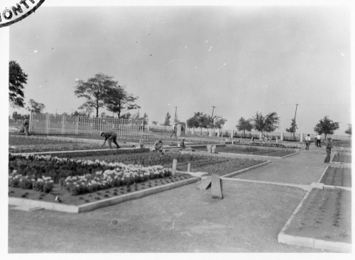 Archives du Jardin botanique de Montréal - H-1938-0005-d - Montréal, Jardin botanique - Jardin floral - 1938