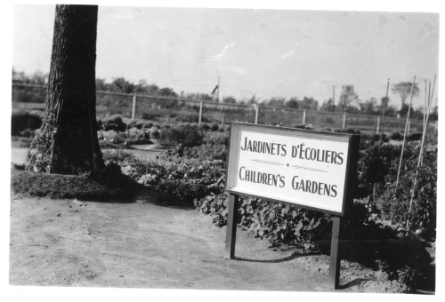 Jardin botanique de Montral (Archives) - H-1938-0025-c - Jardin botanique de Montréal - Jardinets d