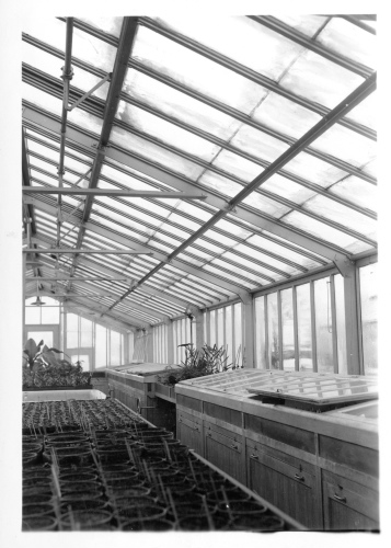 Jardin botanique de Montral (Archives) - H-1938-0032-a - Jardin botanique de Montréal - Serre A-3 - Couche chaude - germination - Janvier 1938