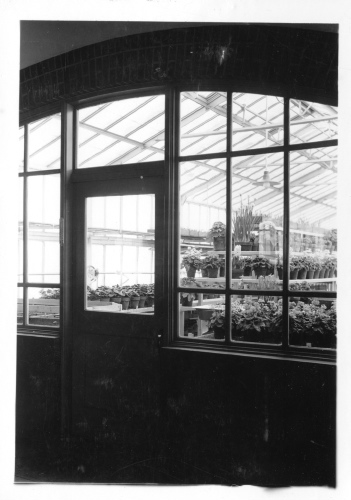 Jardin botanique de Montral (Archives) - H-1938-0032-b - Jardin botanique de Montréal - Serre A-5 -  Janvier 1938