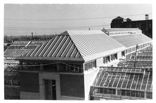 Archives du Jardin botanique de Montral - H-1938-0043-a - Jardin botanique de Montréal - Septembre 1938 - Serres de service en construction