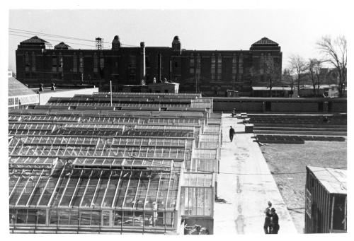Archives du Jardin botanique de Montral - H-1938-0043-b - Jardin botanique de Montréal - Septembre 1938 - Serres de service en construction