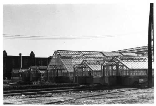 Archives du Jardin botanique de Montral - H-1938-0043-d - Jardin botanique de Montréal - Septembre 1938 - Serres de service en construction