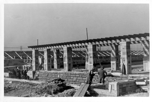 Archives du Jardin botanique de Montral - H-1938-0045-a - Jardin botanique de Montréal - Construction -  Septembre 1938 - Parterre de fleurs vivaces
