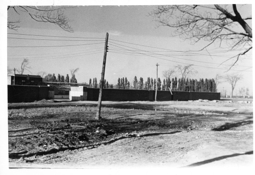 Jardin botanique de Montral (Archives) - H-1938-0057-d - Jardin botanique de Montréal - Septembre 1938