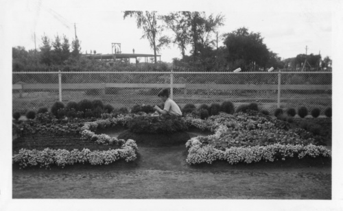 Jardin botanique de Montral (Archives) - H-1938-0066-b - Jardin botanique de Montr?al ? Jardinets d??coliers - 1938