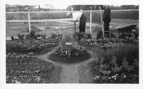 Jardin botanique de Montral (Archives) - H-1938-0066-c - Jardin botanique de Montr?al ? Jardinets d??coliers - 1938