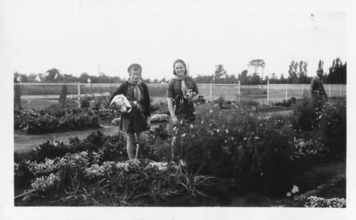 Archives du Jardin botanique de Montral - H-1938-0067-b - Jardin botanique de Montr?al ? Jardinets d??coliers - 1938