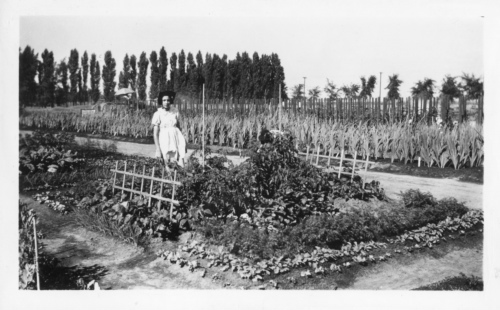 Archives du Jardin botanique de Montral - H-1938-0068-a - Jardin botanique de Montr?al ? Jardinets d??coliers - 1938