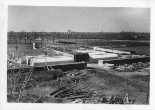 Archives du Jardin botanique de Montréal - H-1938-0071-a - Jardin botanique de Montr?al ? Serres de service - Construction ? 1938
